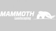 Mammoth Landscaping