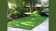 Yard Masters Landscape Services