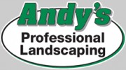 Andy's Landscape