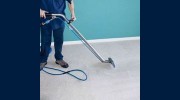 Fresh Maple Carpet Cleaning Services